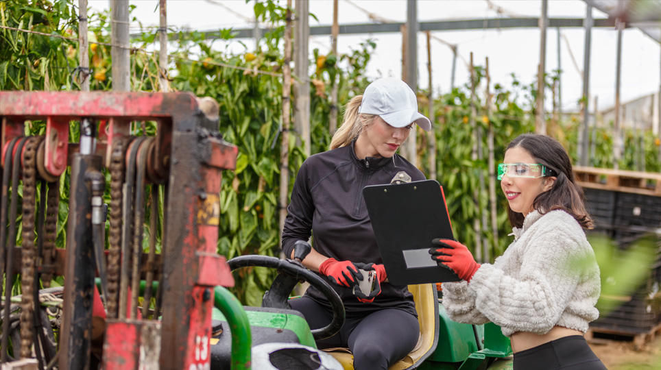 ฮังชา กรุ๊ป